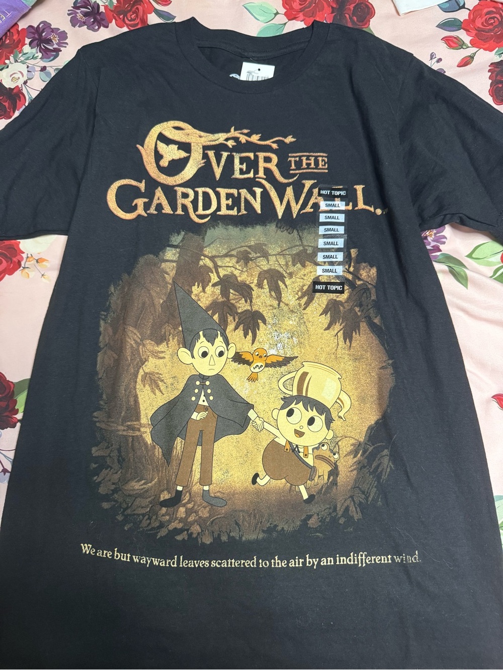 Hot Topic Over the Garden Wall Kids' Graphic T-Shirt - Black
